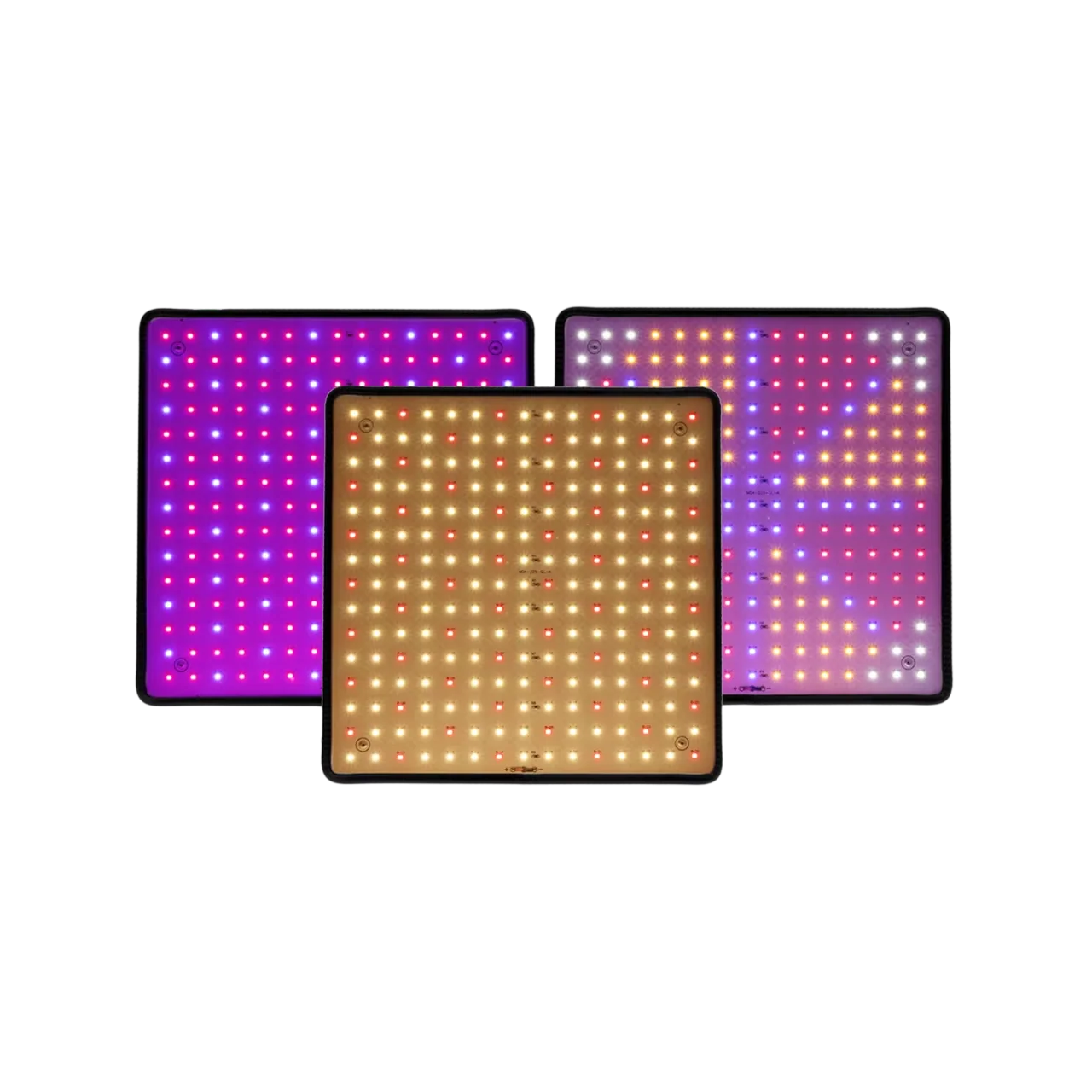 BlosomLite