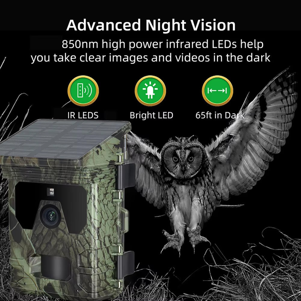 Wildsnap v2